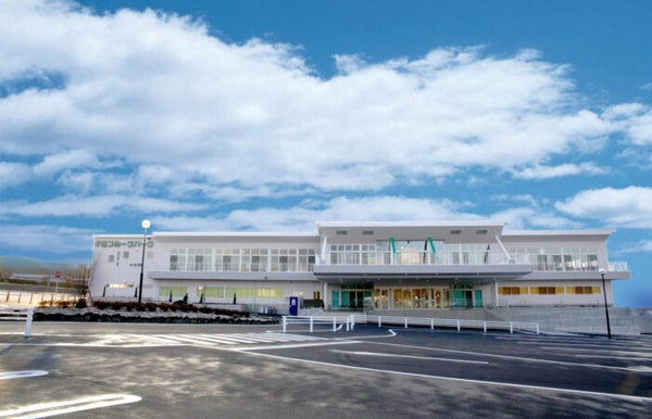 ★2/24 催行決定★【横浜発】河津桜と菜の花 早春爛漫!本場の河津桜と菜の花のコントラストたっぷり180分鑑賞【駿河産食材のお弁当付き】2